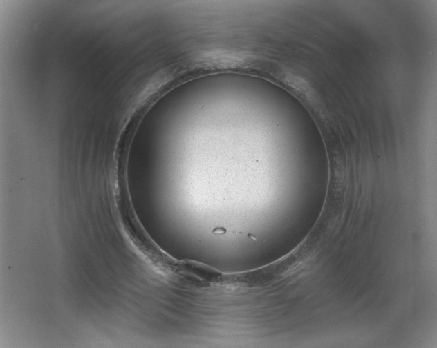 X0000068260582200604241234