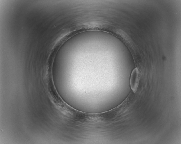 X0000068260583200604241234