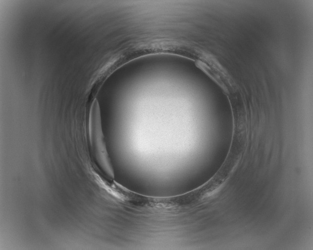 X0000068260585200604241234