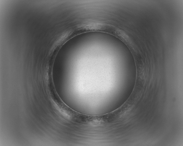 X0000068260586200604241234