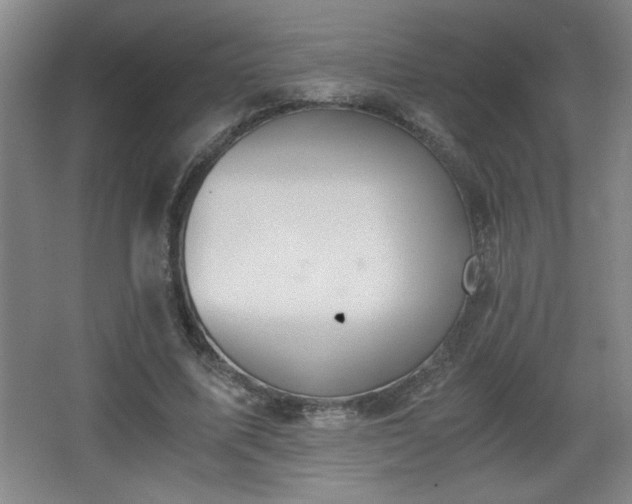 X0000068260587200604241234