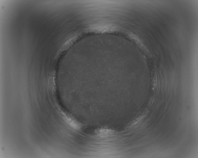 X0000068260590200604241234