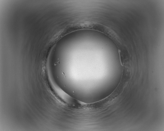 X0000068260593200604241234