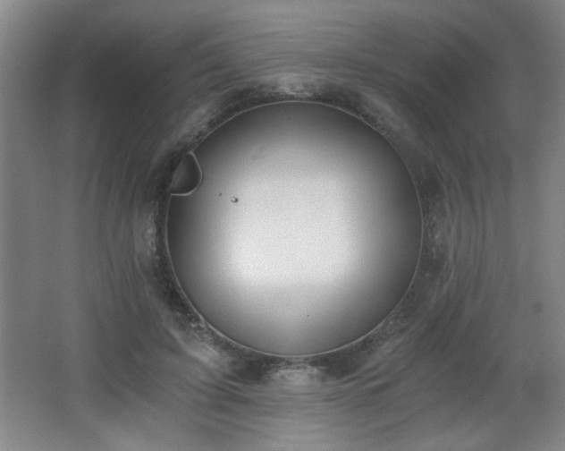 X0000068260595200604241234