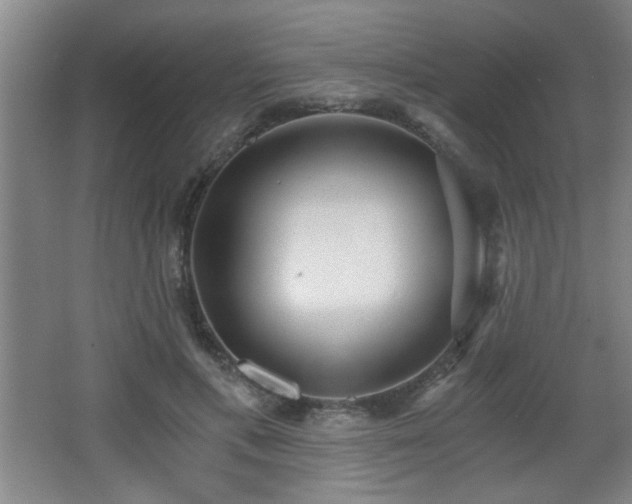 X0000068260597200604241234