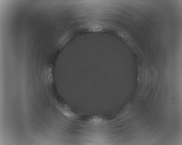 X0000068260598200604241234