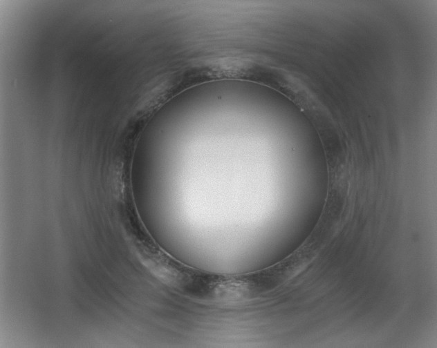 X0000068260599200604241233