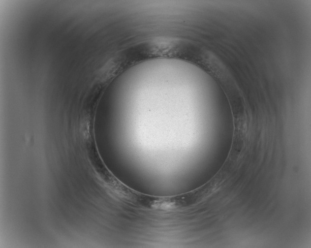 X0000068260602200604241233