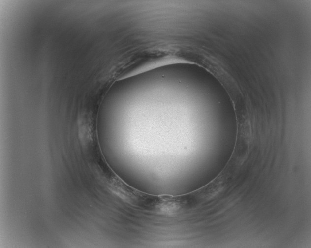 X0000068260604200604241233