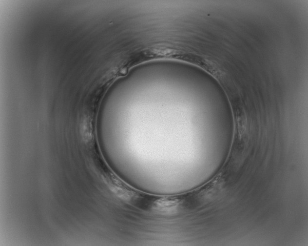 X0000068260606200604241233