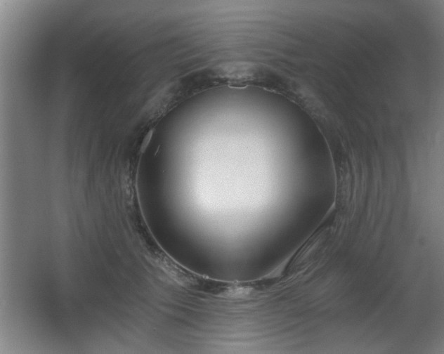 X0000068260609200604241233