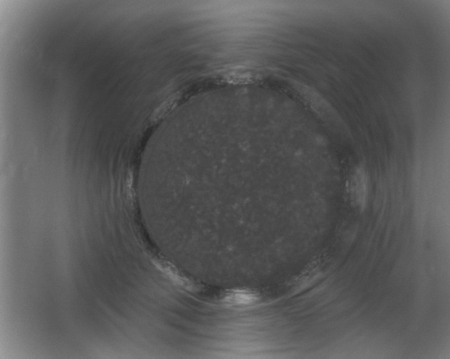 X0000068260610200604241233