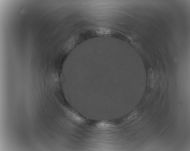 X0000068260614200604241233