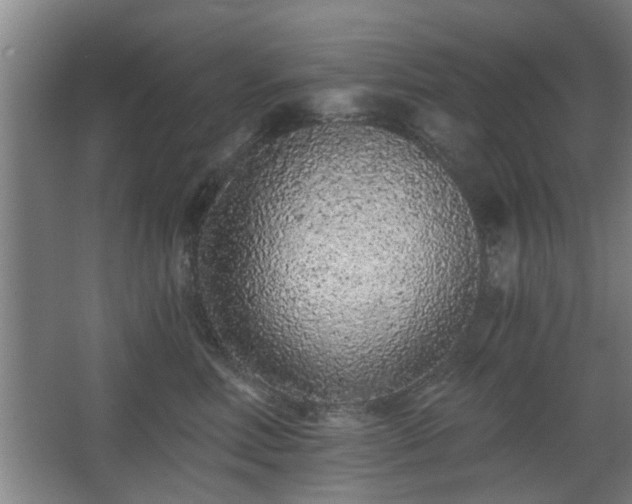 X0000068260618200604241233