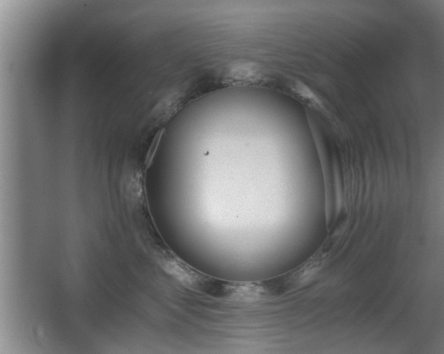 X0000068260621200604241233