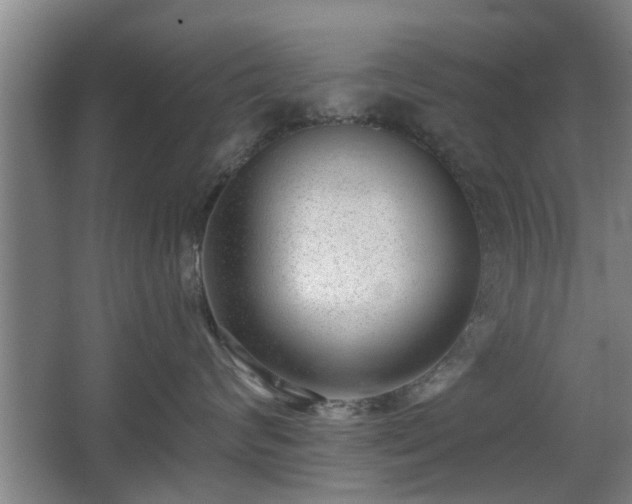 X0000068260624200604241233