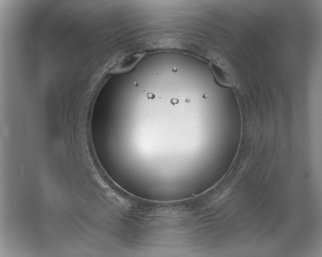 X0000068260625200604241232