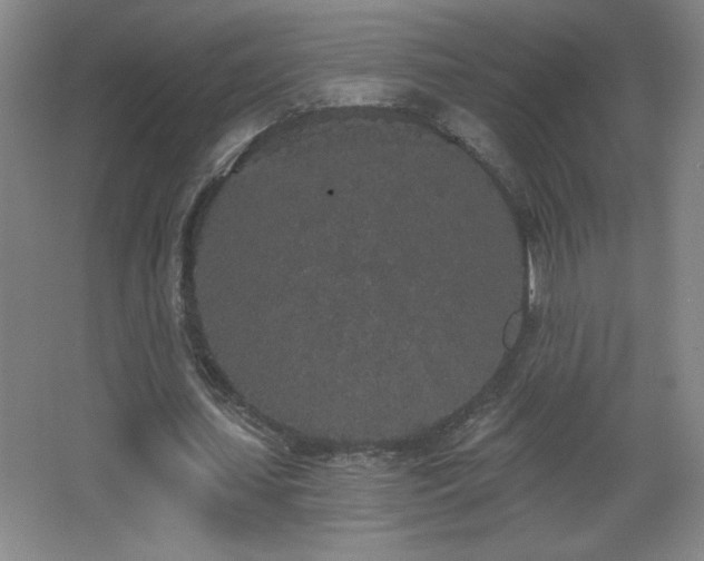 X0000068260627200604241232