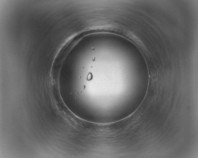 X0000068260628200604241232