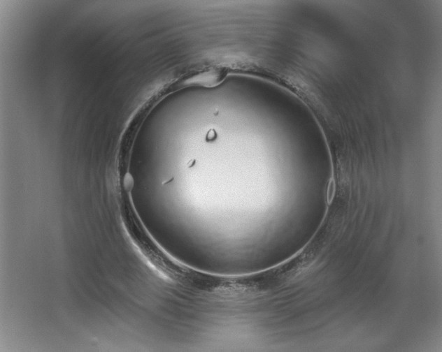 X0000068260630200604241232