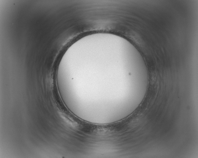 X0000068260632200604241232