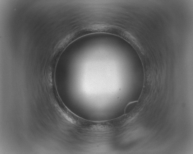 X0000068260633200604241232