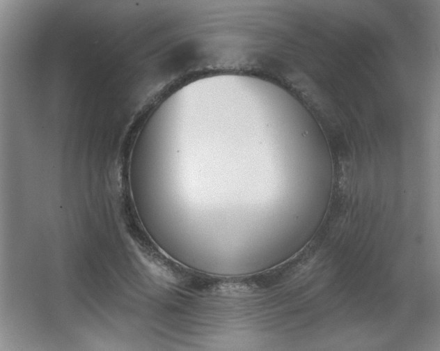 X0000068260636200604241232