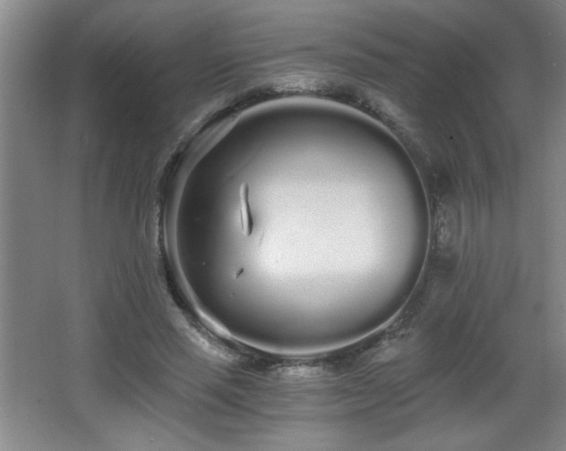 X0000068260637200604241232