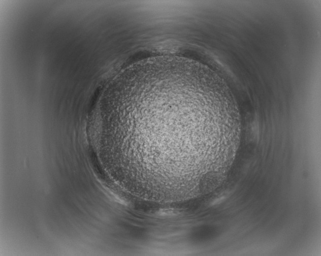 X0000068260641200604241233