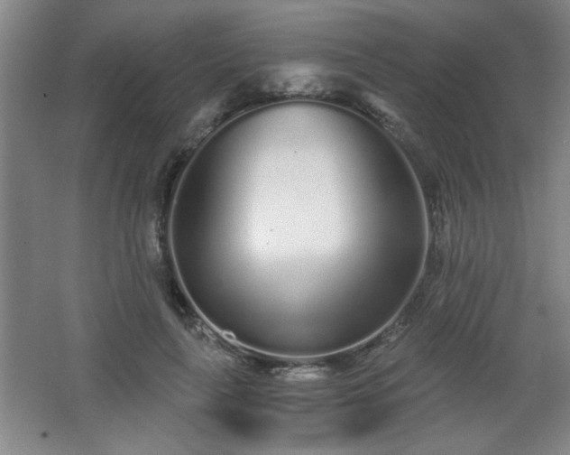 X0000068260643200604241233