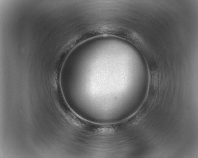 X0000068260644200604241233