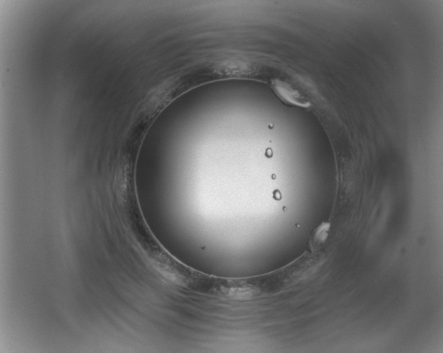 X0000068260645200604241233