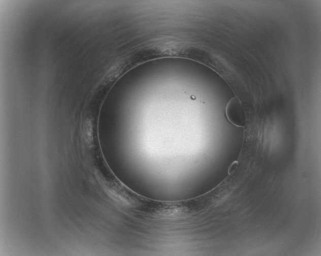 X0000068260646200604241233