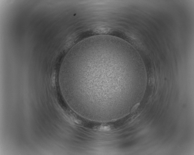 X0000068260647200604241233