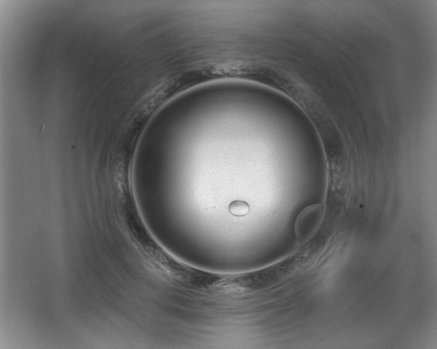 X0000068260648200604241233