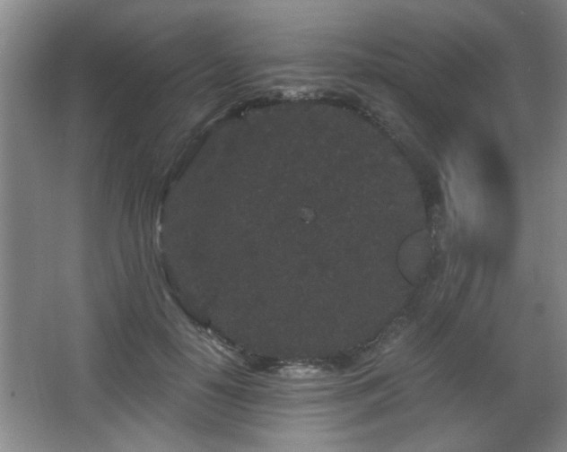 X0000068260650200604241233