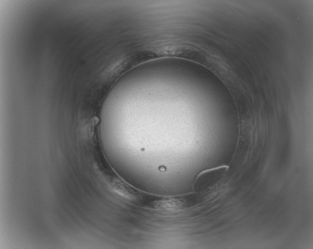 X0000068260652200604241233