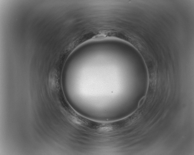 X0000068260653200604241233