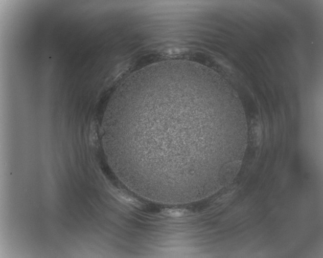 X0000068260654200604241233