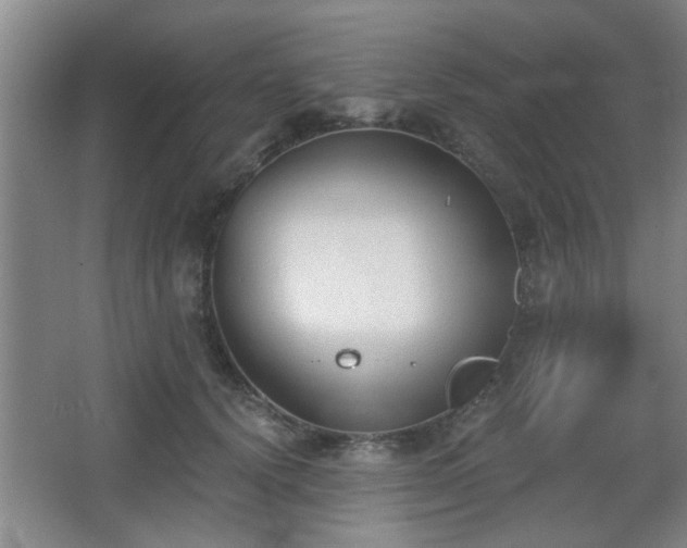 X0000068260656200604241233