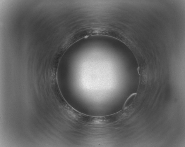 X0000068260657200604241233