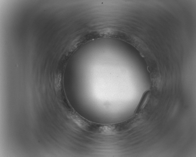 X0000068260660200604241233