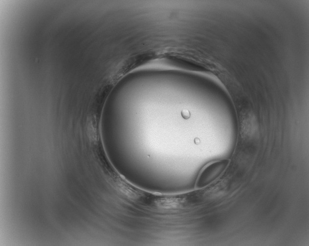 X0000068260661200604241233