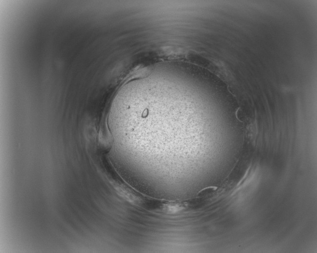 X0000068260662200604241233