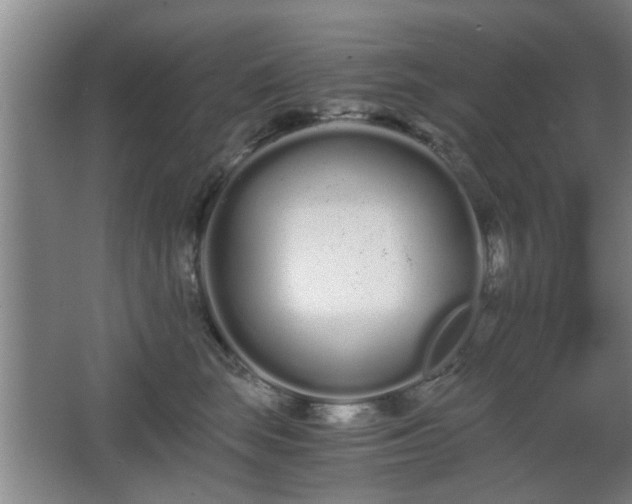 X0000068260663200604241233