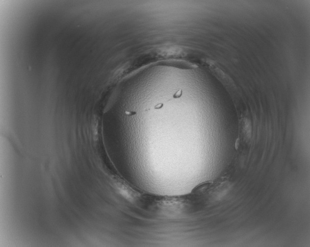 X0000068260668200604241233