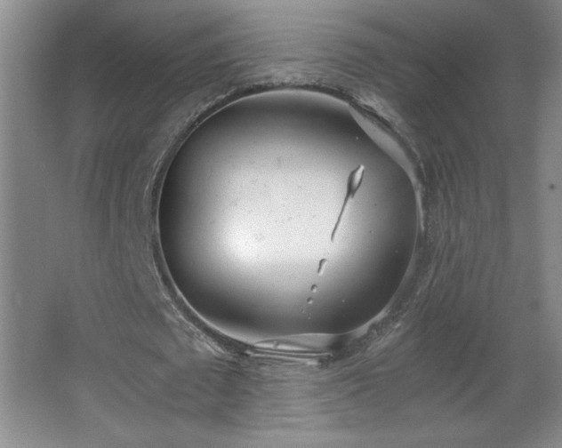 X0000068260673200604241232