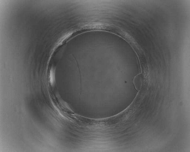 X0000068260674200604241232