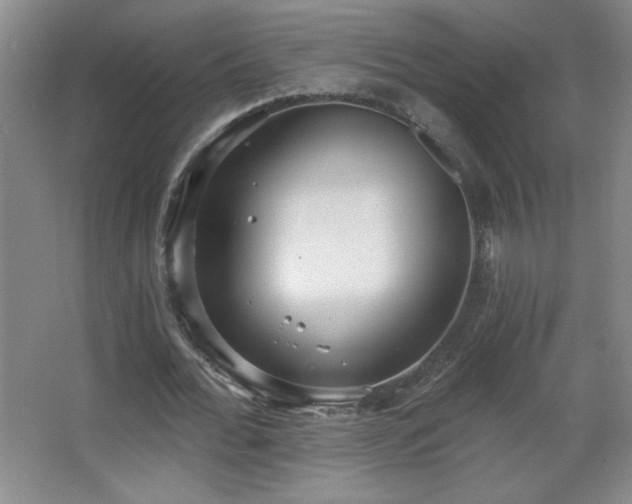 X0000068260676200604241232