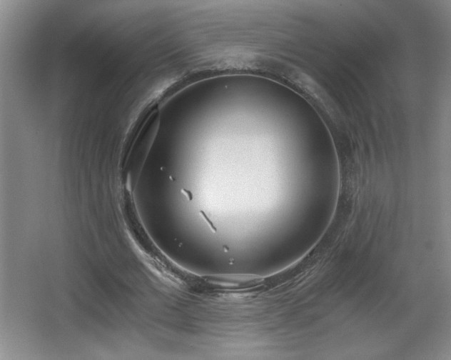 X0000068260677200604241232